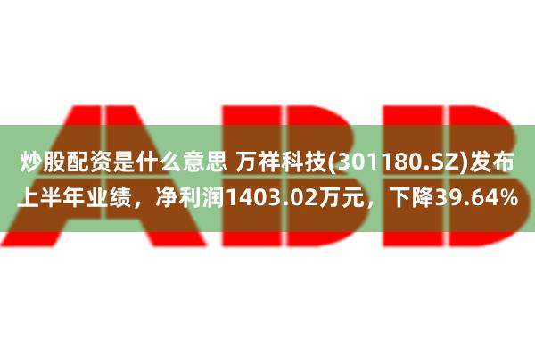 炒股配资是什么意思 万祥科技(301180.SZ)发布上半年业绩，净利润1403.02万元，下降39.64%