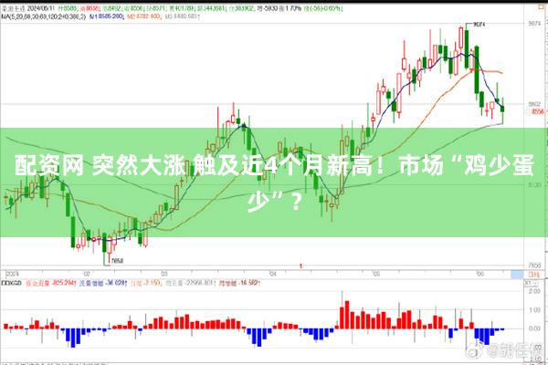 配资网 突然大涨 触及近4个月新高！市场“鸡少蛋少”？