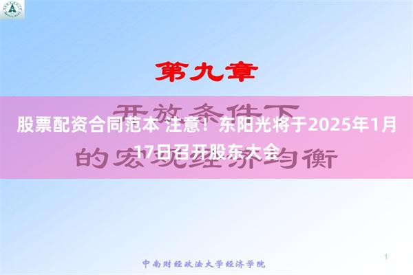 股票配资合同范本 注意！东阳光将于2025年1月17日召开股东大会