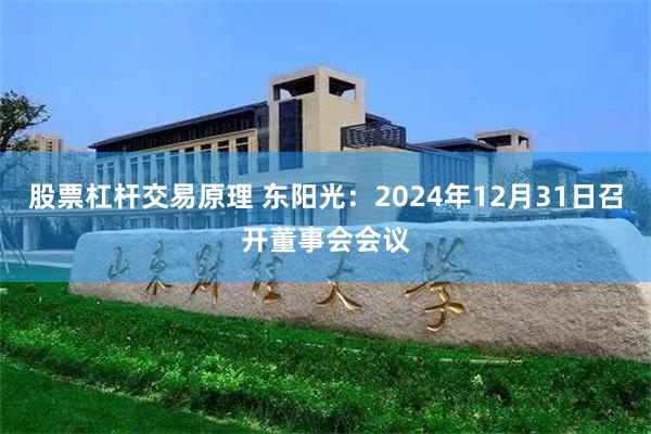 股票杠杆交易原理 东阳光：2024年12月31日召开董事会会议