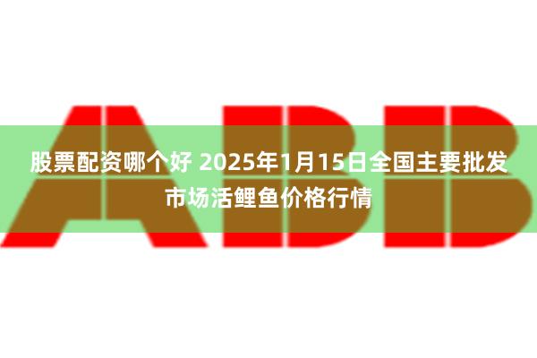 股票配资哪个好 2025年1月15日全国主要批发市场活鲤鱼价格行情