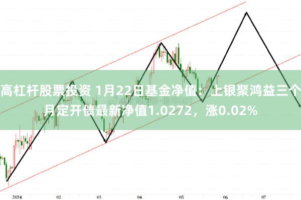 高杠杆股票投资 1月22日基金净值：上银聚鸿益三个月定开债最新净值1.0272，涨0.02%